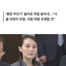 김여정 "한국·우크라, 핵보유국에 도발…미국의 버릇나쁜 개"(종합) 이미지