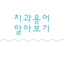 서울봄치과 네이버블로그