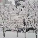 고속행정사 이미지