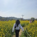 삼죽특수가스 이미지