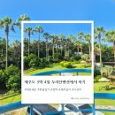 중문햇빛펜션 | 내돈내산 제주 남원 숙소 추천｜가성비 좋은 두리안펜션 3박 후기, 제주도에서 6개월살기