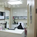드림펫동물병원