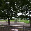 동호초등학교병설유치원 이미지