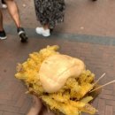 쏘다님투어