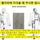 소변에서 피가 섞여 나올때... 가정요법 이미지