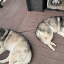 욜로하 스테이 이미지