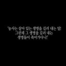 무위당길 네이버블로그