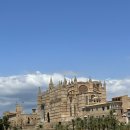 (유)팔마항공전세 | 마요르카신혼여행숙소 추천, 프로투르 나이사 팔마 호텔 후기