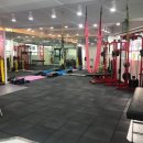 바디나믹 이미지