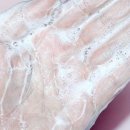 퍼플네이쳐 이미지
