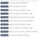 대가야문화누리 가야금홀 | 2026 고령대가야축제 일정 주차장 셔틀버스 초대가수 라인업 총정리