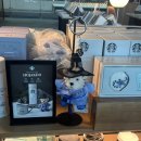 다이마루어뮤즈 이미지