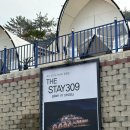 The Stay 309 네이버블로그