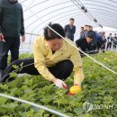 성주기사식당