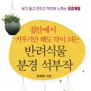 한국식물병원