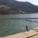 월곡 낚시터 이미지