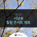 시낭송 콘서트 | 시낭송 힐링 콘서트 개최