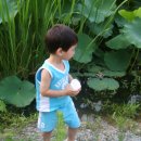 미라클 워터 이미지