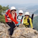 제125차 5월 팔봉산 정기산행 참석인원 및 회비납입현황 이미지