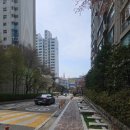 상도늘보리 봉천역점 | 봉천역 코다리 맛집 봉천역 쭈꾸미 맛집 상도늘보리 봉천역점 리뷰(ft. 관악구 임장 맛집)