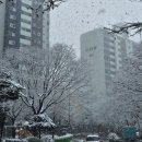 샛별공인중개사사무소 이미지