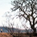 대평낚시터 이미지