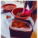 의정부청과야채시장 | 해남 배추 20포기 김장 후기: 붉은 노동의 미학: 시간을 존중하여 '봄을 담그는' 의식과 보쌈의 환희