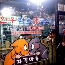 동방전기님 부친이 운영하는 자갈마을의 캐릭터&lt;DP펌&gt;