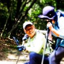 한라산둘레길 동백길 이미지