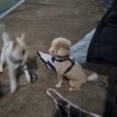 만월어린이공원 이미지