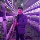 농업회사법인 (유)드림팜 이미지