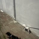 동광로3길 2 이미지