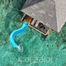 모던 스팟 콘서트 이미지