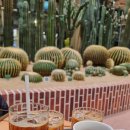 연산동거리(오방맛길) | [부산 연산동 오방맛길 선인장카페 대형카페 : 칵터스🌵]오방맛길 핫플선인장감성카페 🌿베이커리맛집...