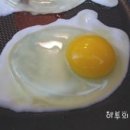 뜨레난농장 이미지