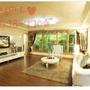 금성백조예미지 이미지