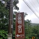 소통령
