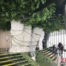 전망대민박 이미지