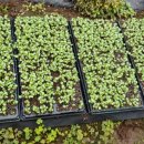 은옥농장 이미지