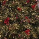 곰돌이식당 이미지