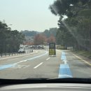 정문 | 에버랜드 발레파킹 카카오 발렛 예약 요금 정보 정문주차장 후기