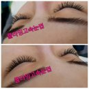 활짝핀 속눈썹 이미지