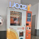 과일자판기 | [싱가포르 여행 꿀팁] IJOOZ 생과일 오렌지주스 자판기 사용법 가격 맛 후기