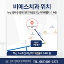 비에스디디