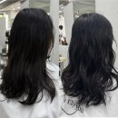 대전 월평동 구름펌 잘하는 곳 | 헤어 엘리유 후기 ☁️