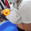 노원구 도봉구 강북구 성북구 산후도우미 업체 닥터맘 감사 후기