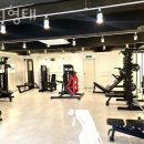 몸의형태 이미지