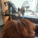 곱슬머리 미용실