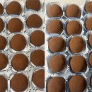 청성로 | 포천 두쫀쿠 솔직 후기, 직접 먹어보고 비교｜형제떡집, 카페 예하