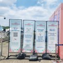 하남 푸드 페스타 2025 후기 (+주차 팁, 아이랑 가도 좋아!)